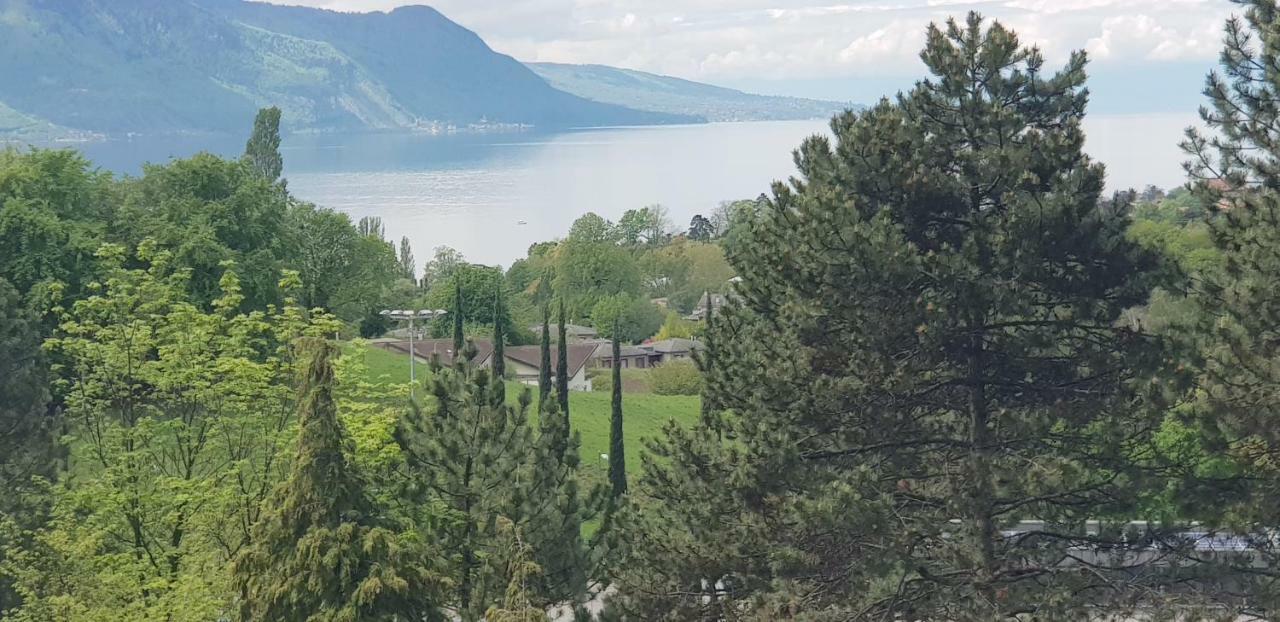 La Terrasse Lake View Residence Montreux Eksteriør billede